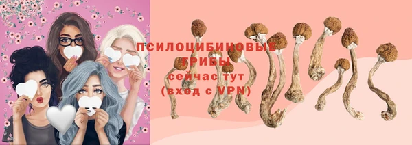 ПСИЛОЦИБИНОВЫЕ ГРИБЫ Аркадак