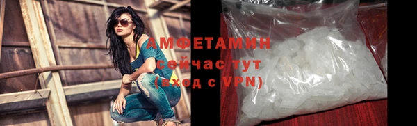 прущие грибы Армянск