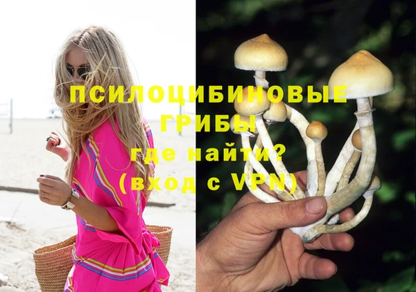 ПСИЛОЦИБИНОВЫЕ ГРИБЫ Аркадак