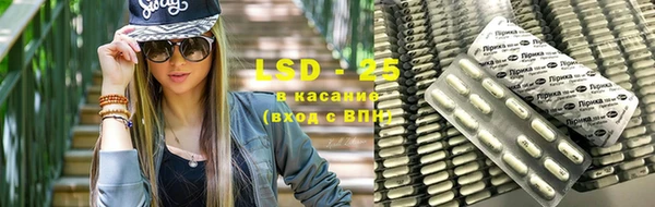 прущие грибы Армянск