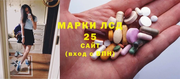 прущие грибы Армянск