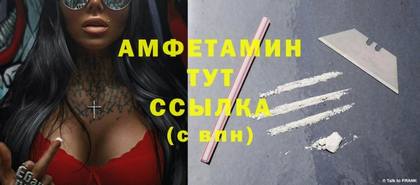 прущие грибы Армянск