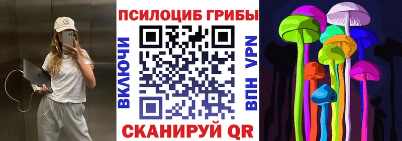 Псилоцибиновые грибы прущие грибы  гидра как войти  Малгобек 
